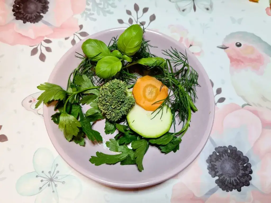 Czy królik może jeść cukinie? Sprawdź, co musisz wiedzieć!