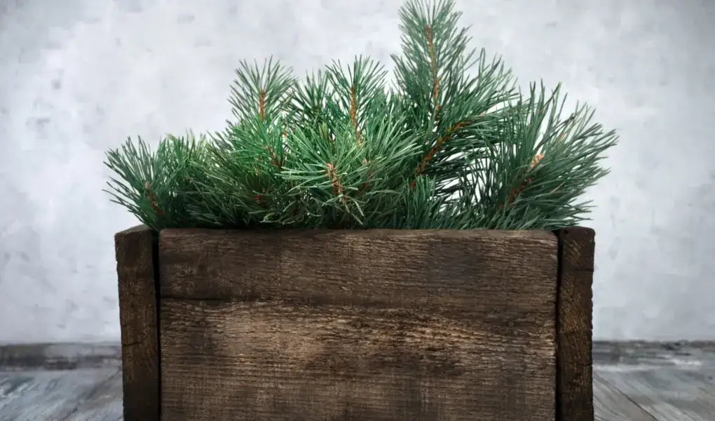 Jak stworzyć piękny stojak na choinkę DIY bez zbędnych kosztów