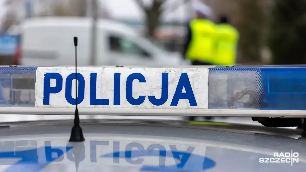 Niepotrzebne książki w Szczecinie? Oddaj je z zyskiem lub za darmo!