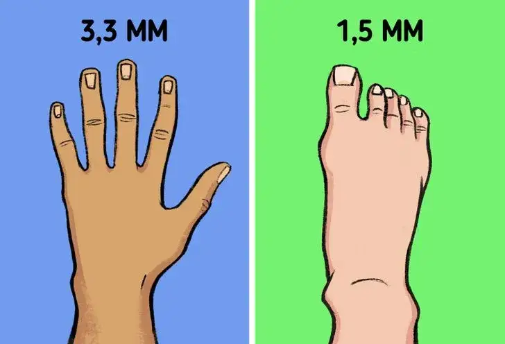 Jak długo rosną paznokcie u nóg i co wpływa na ich tempo wzrostu?