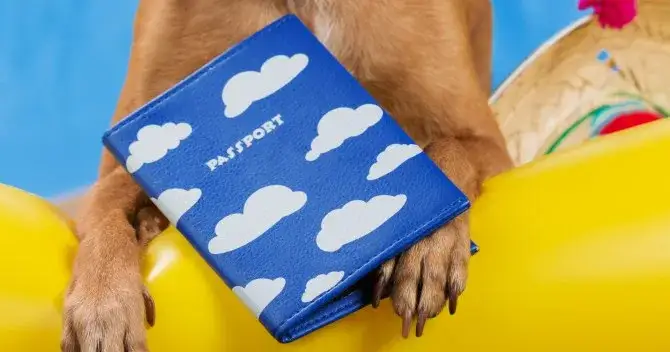 Jak wyrobić paszport dla psa? Koszty, warunki i podróże bez stresu