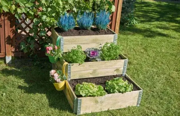 Jak stworzyć idealny warzywnik DIY: proste metody i porady