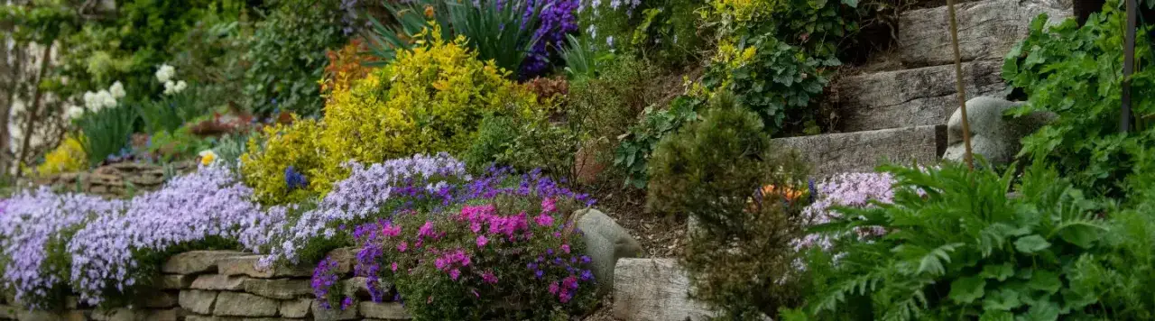 Jakie rośliny na skarpę przy tarasie? Sprawdzone pomysły na piękny i stabilny ogród