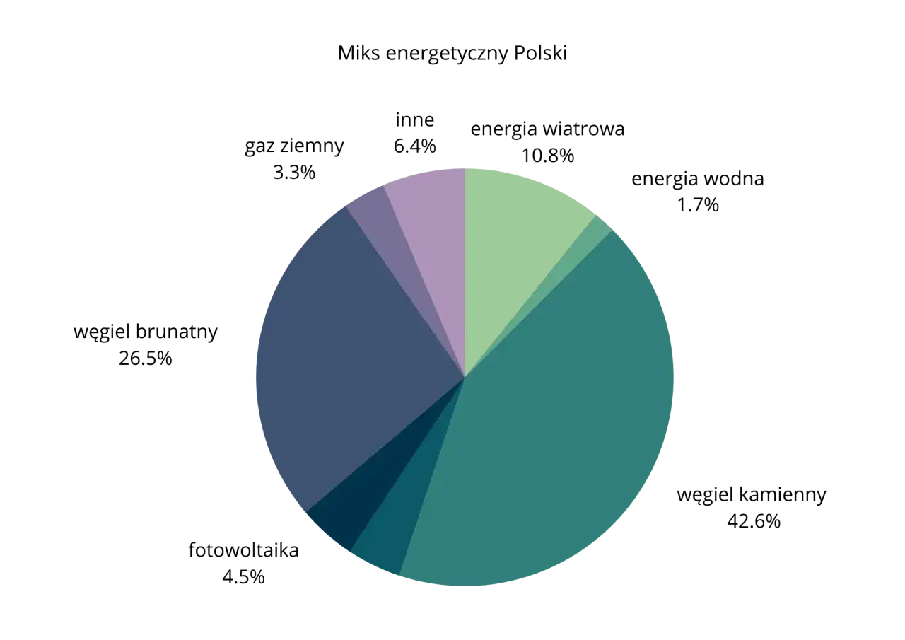 Wykres kołowy pokazujący zróżnicowany miks energetyczny Polski.