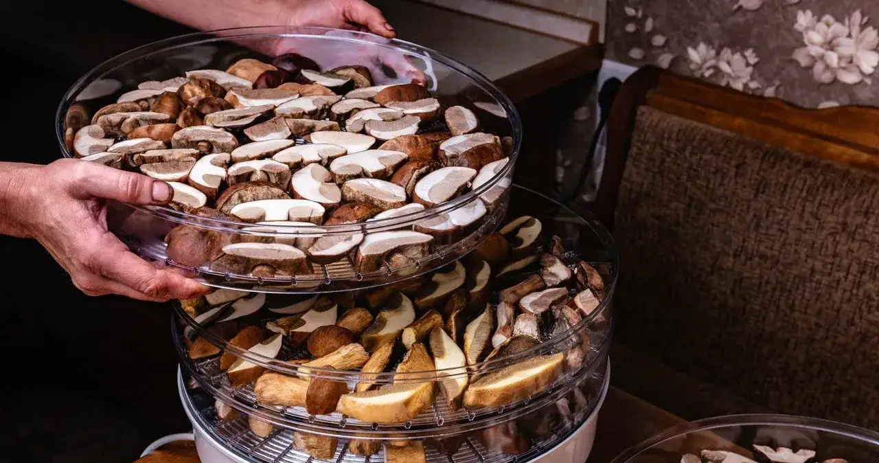 Ile prądu pobiera suszarka i jak zaoszczędzić na rachunkach?