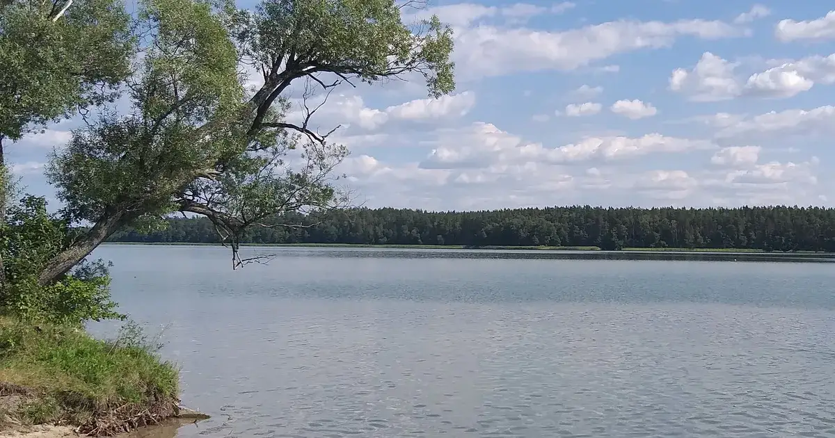 Przyjezierze Jeziora Wielkie - odkryj urokliwe miejsce na wypoczynek