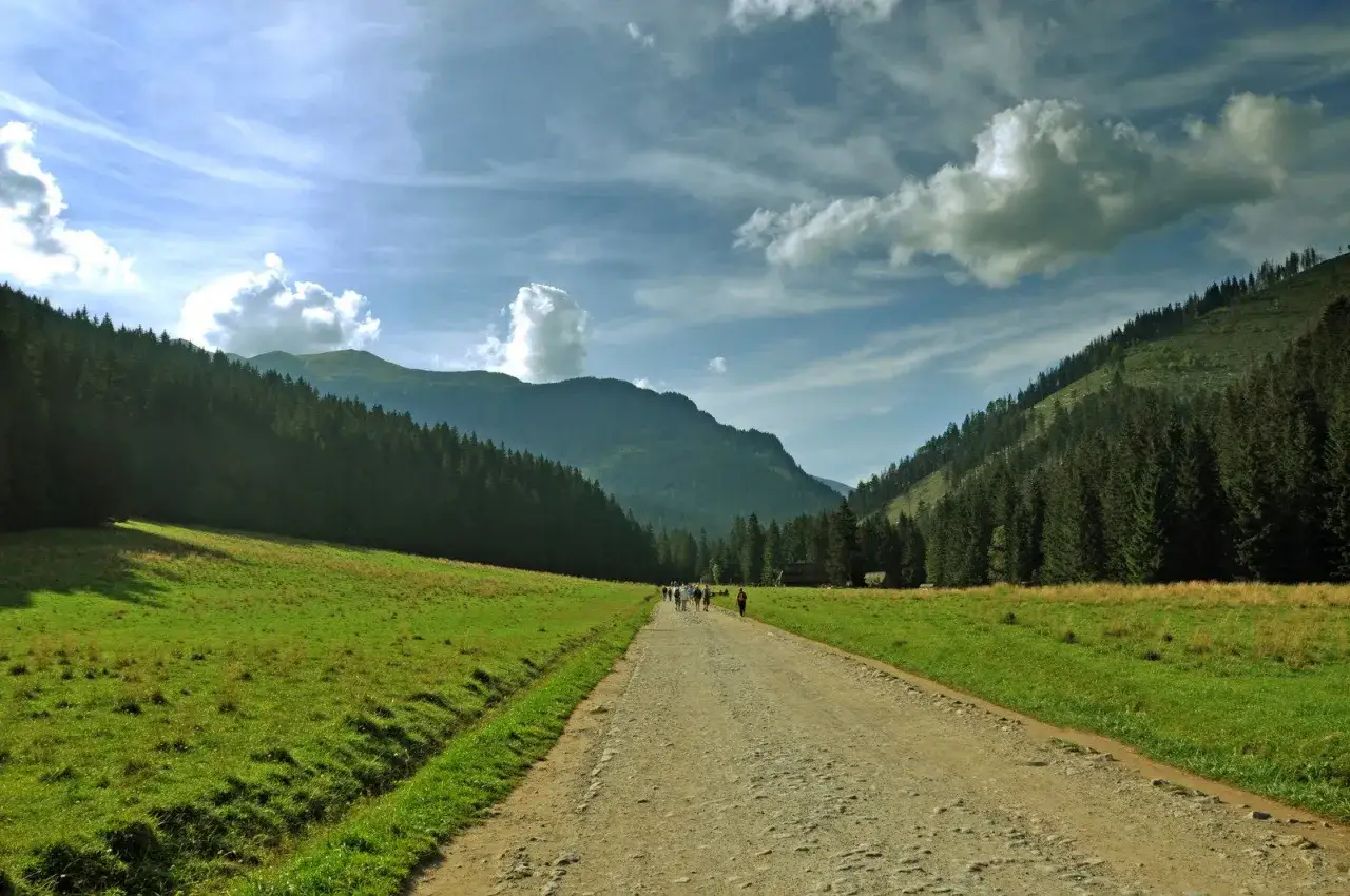 Droga przez zieloną dolinę, idealna na trasę Kielce-Zakopane. Grupa turystów idzie w stronę gór.