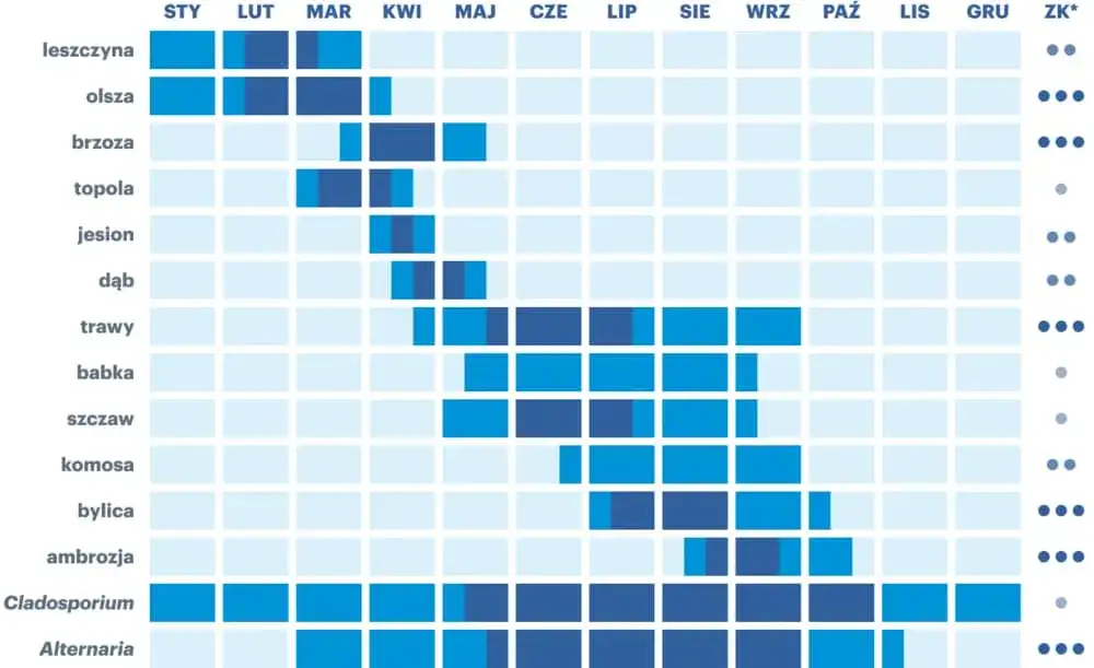 Alergia co teraz pyli - unikaj alergenów i złagodź objawy