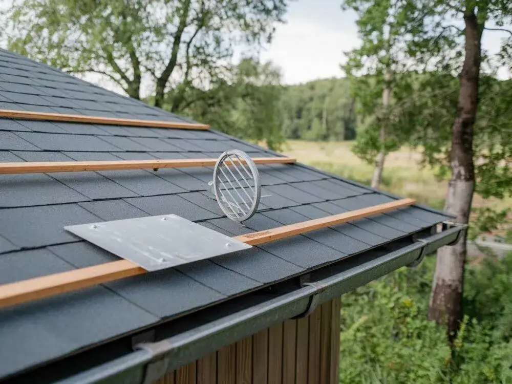 Praktyczne sposoby zabezpieczenia poddasza przed kunami - ochrona domu bez konieczności ponoszenia wysokich kosztów