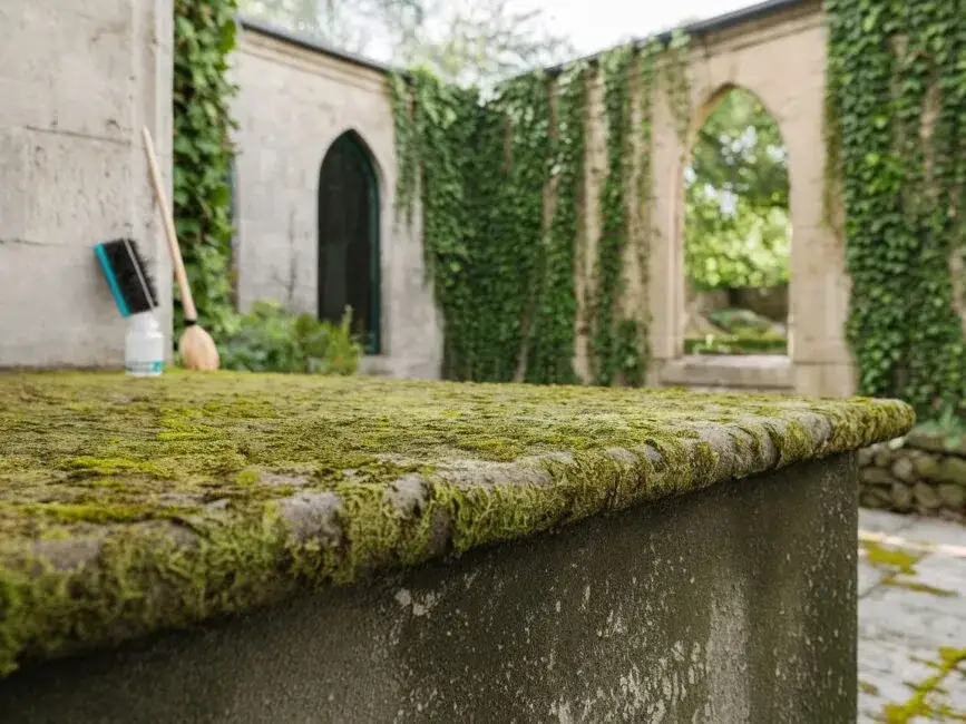 Skuteczne sposoby na usunięcie mchu z płotu betonowego bez wysiłku