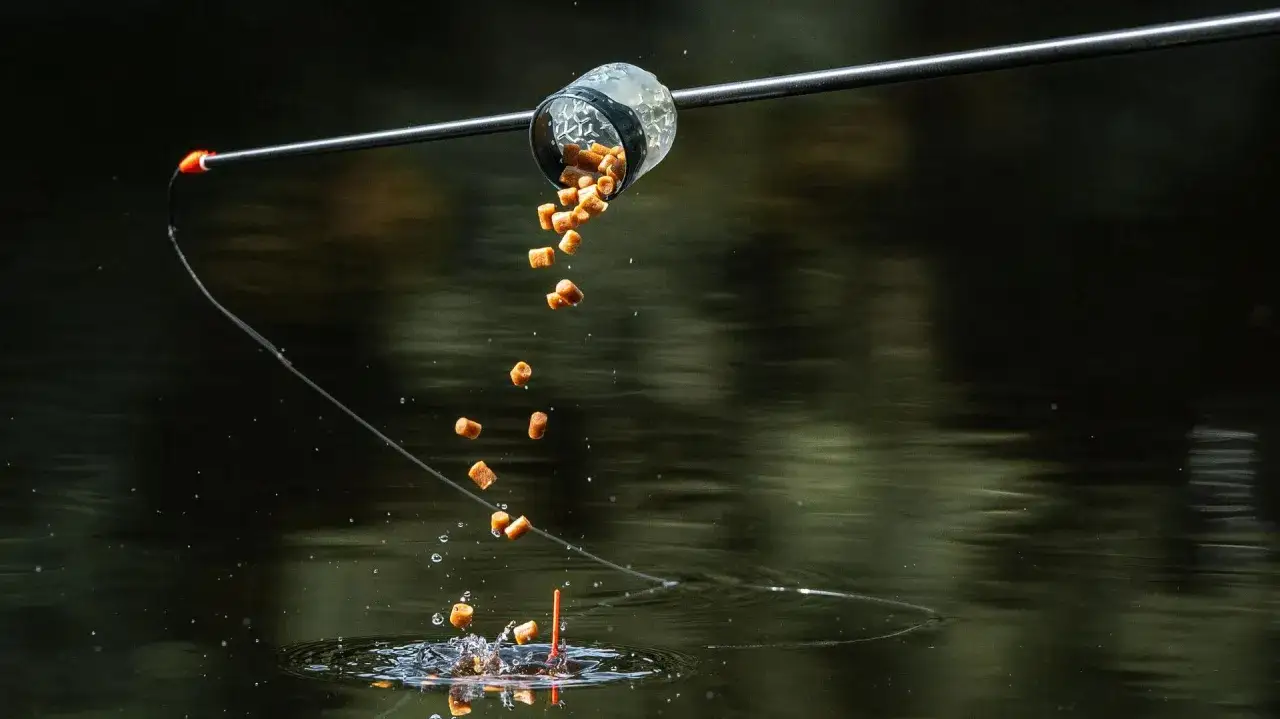 Karpie, szykujcie się! Właśnie sypie się zanęta na karpia feeder, kusząc Wasze podniebienia.