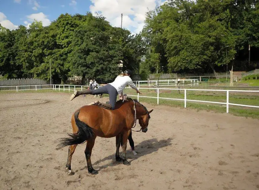 Stadnina Szczecin - najlepsze miejsca na jazdę konną i obozy