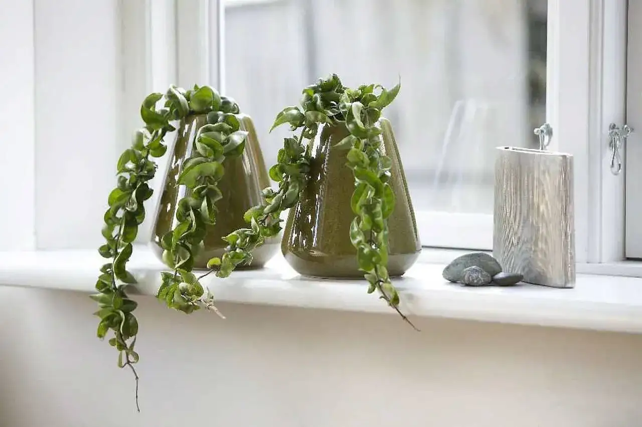 Jakie kwiaty na kwietnik w domu - wybierz rośliny łatwe w pielęgnacji