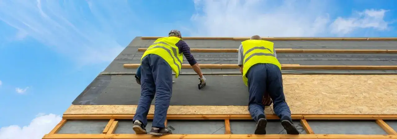 Jaką papę na dach wybrać, aby uniknąć kosztownych błędów?