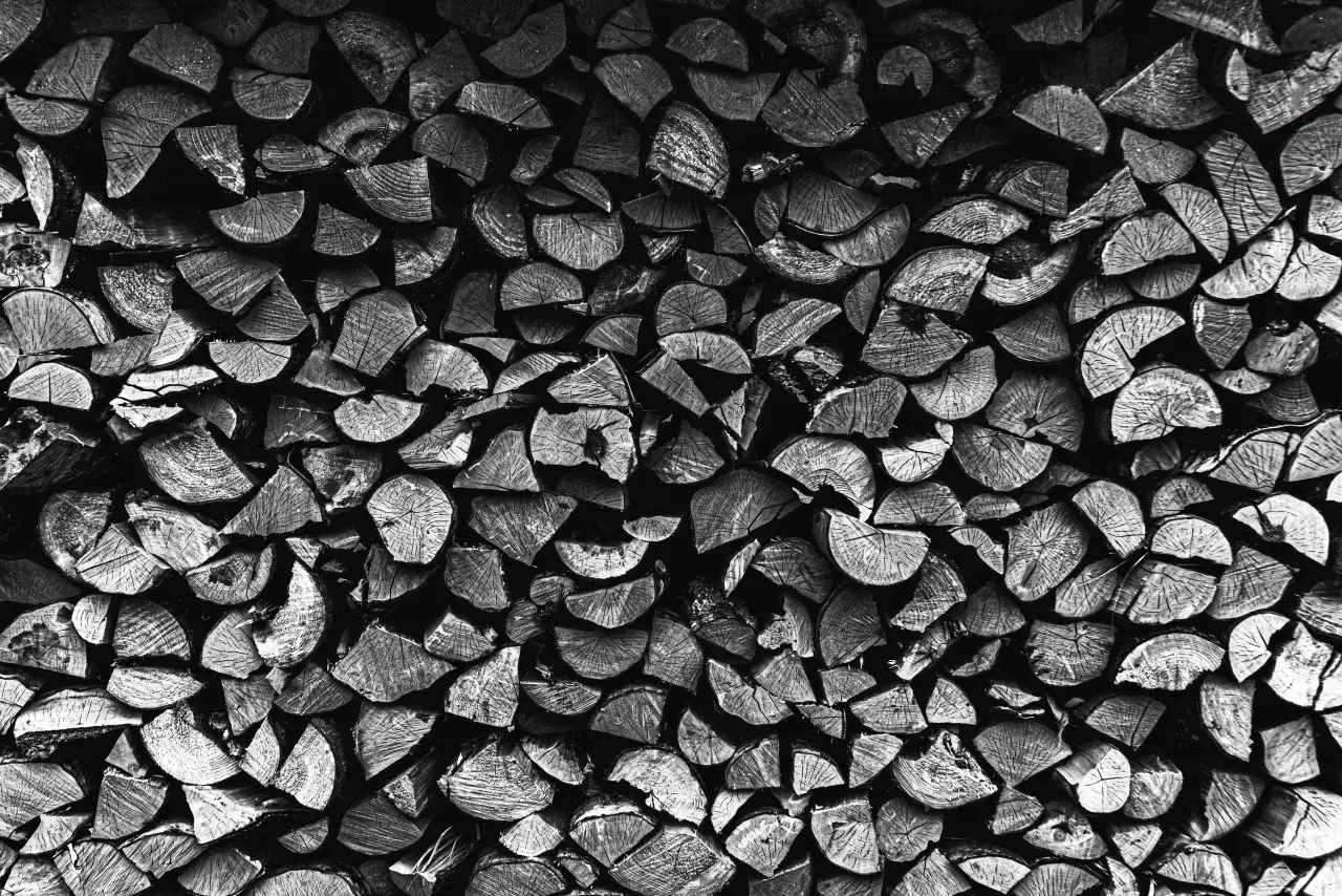 Gdzie kupić ekogroszek w Niemczech? Sprawdź najlepsze oferty i ceny