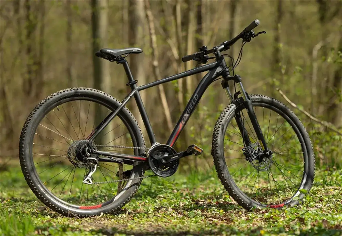 Czarny rower górski Oxfeld XC-6 gotowy na leśne ścieżki.