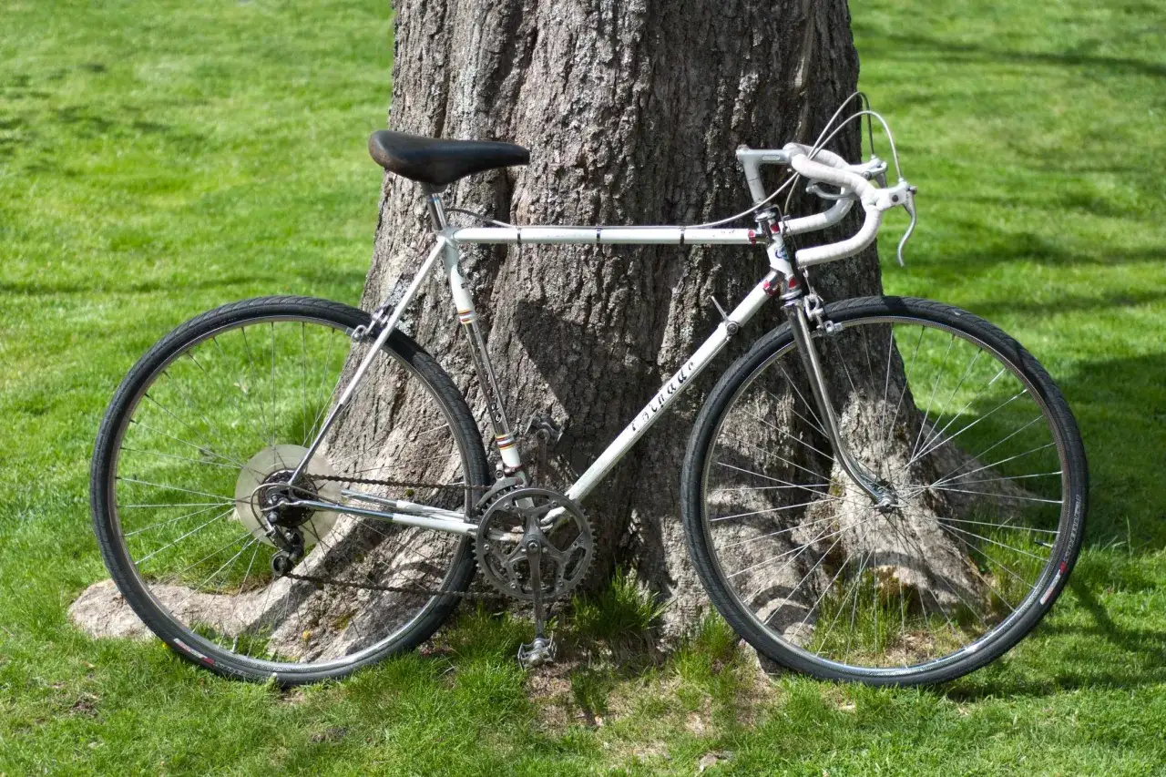 Stary rower oparty o drzewo. Koła wyglądają na proste, idealne do prostowania felgi rowerowej.