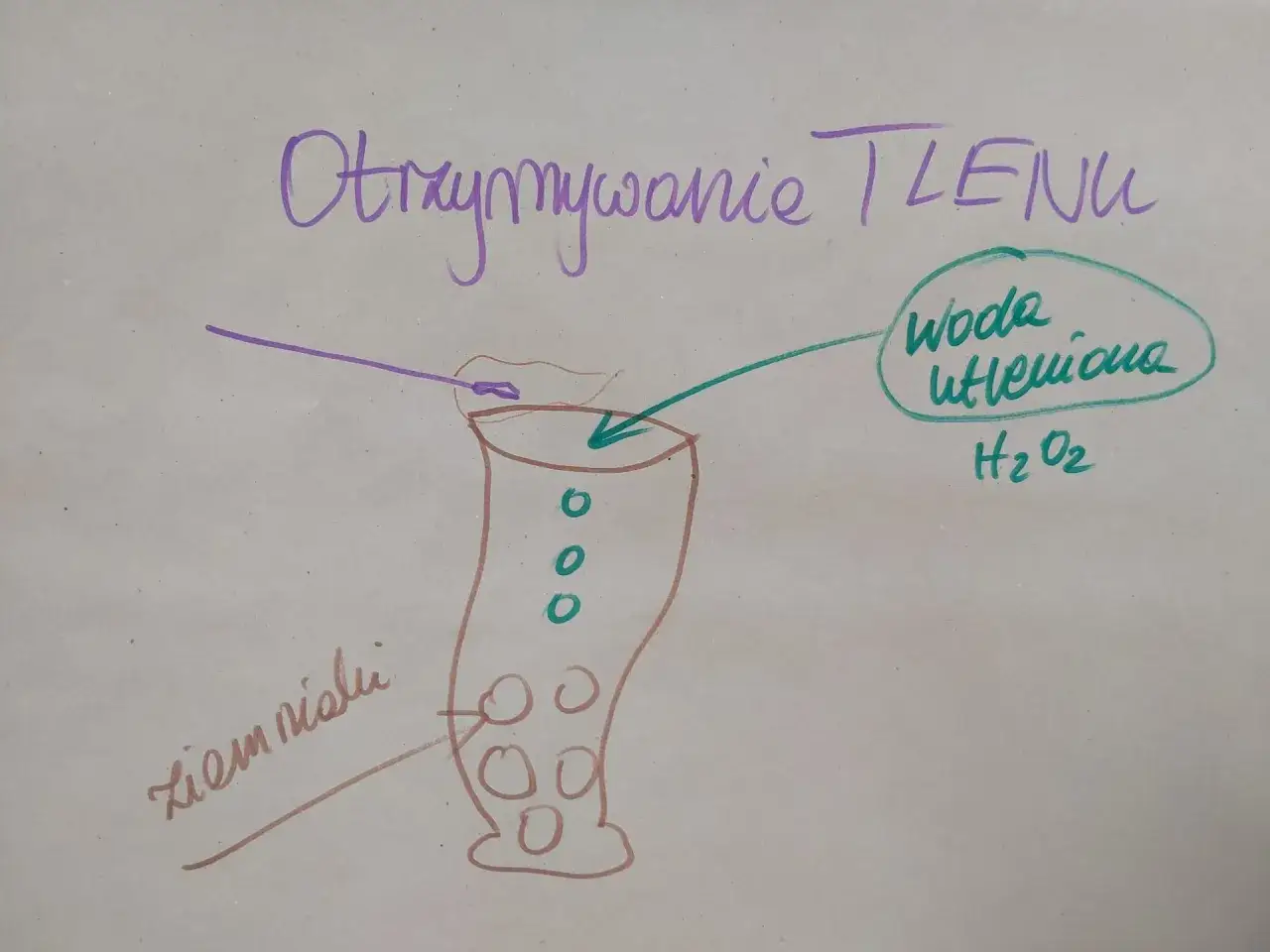 Otrzymywanie tlenu z wody utlenionej (peroxide co to) z użyciem ziemniaka.