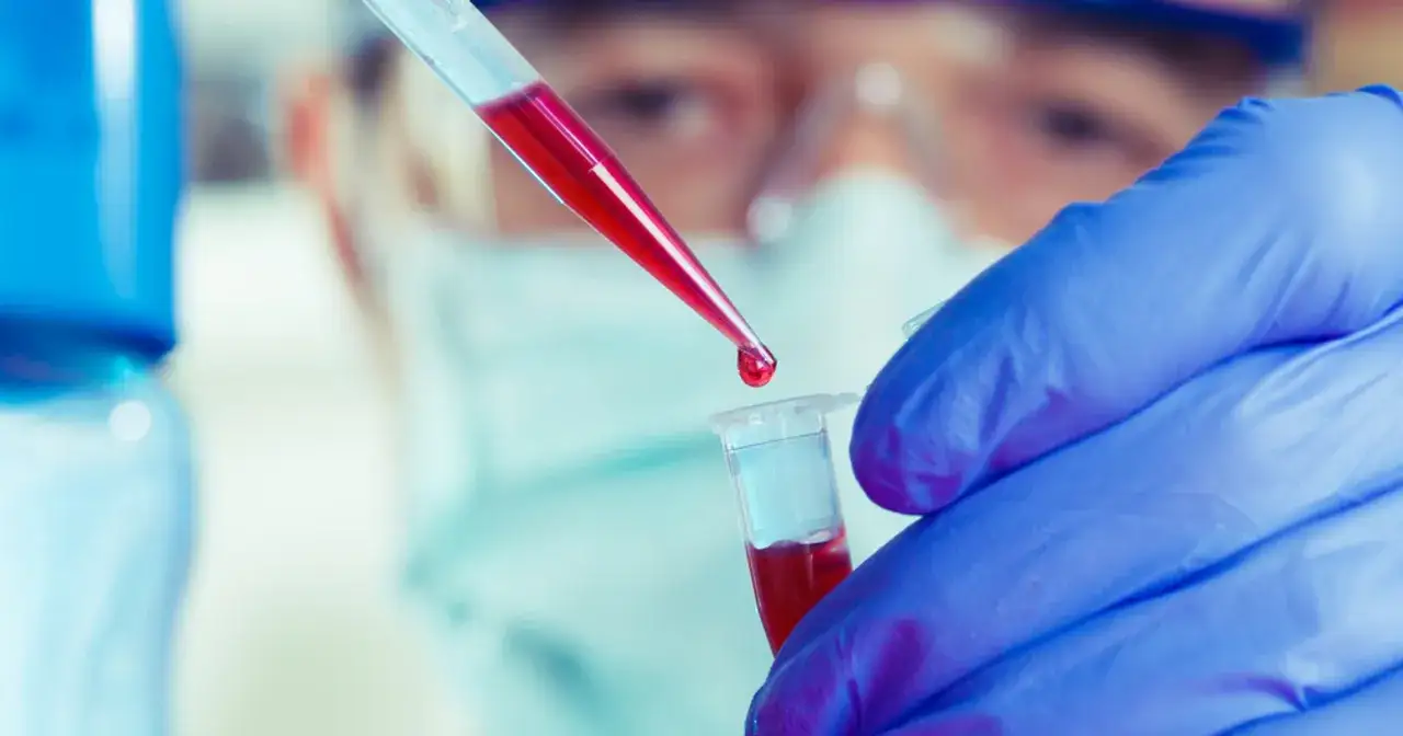 Laborant w niebieskich rękawiczkach pobiera pipetą kroplę czerwonego płynu do probówki.