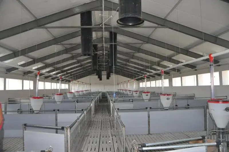 Ile kosztuje budowa chlewni? Poznaj ceny i czynniki wpływu