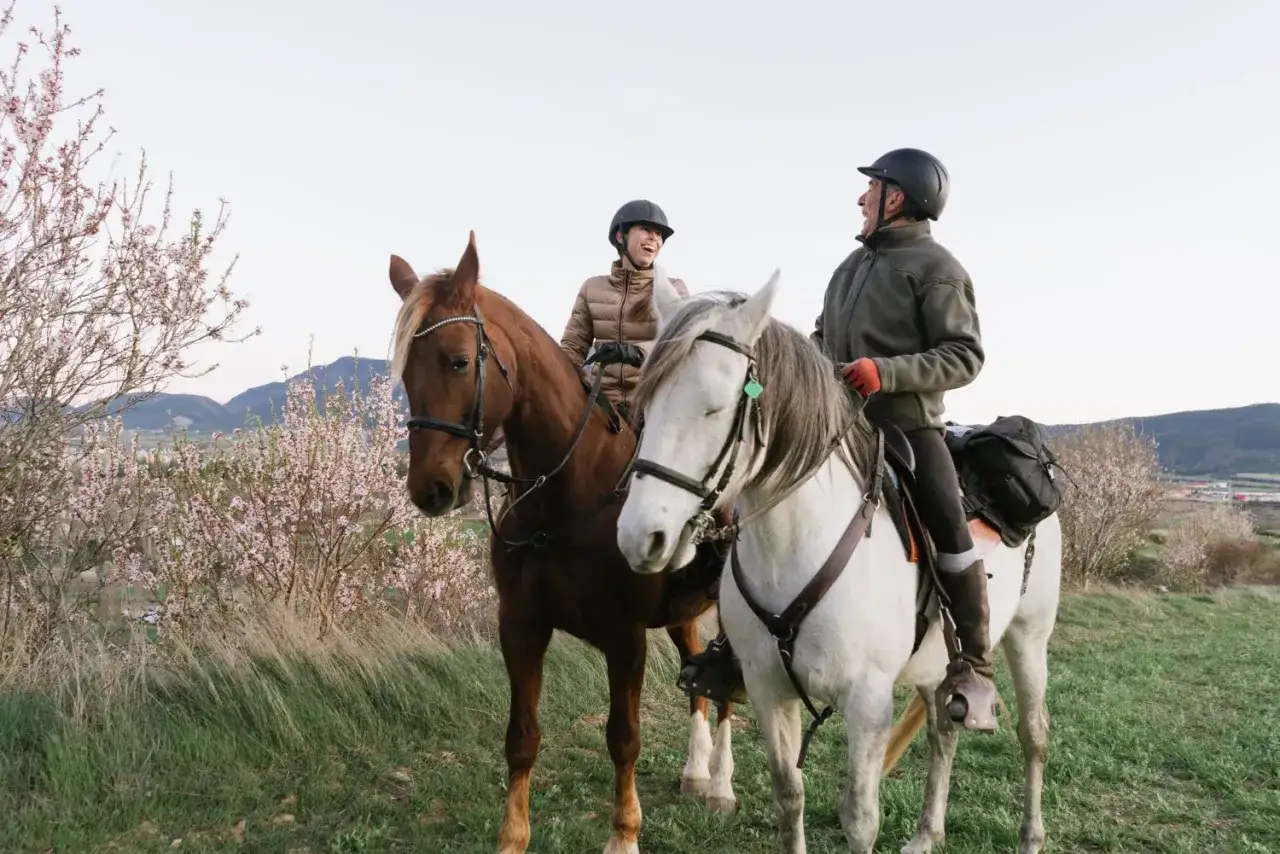 Jazda konna Bieszczady: Stadniny, rajdy, ceny. Twój przewodnik