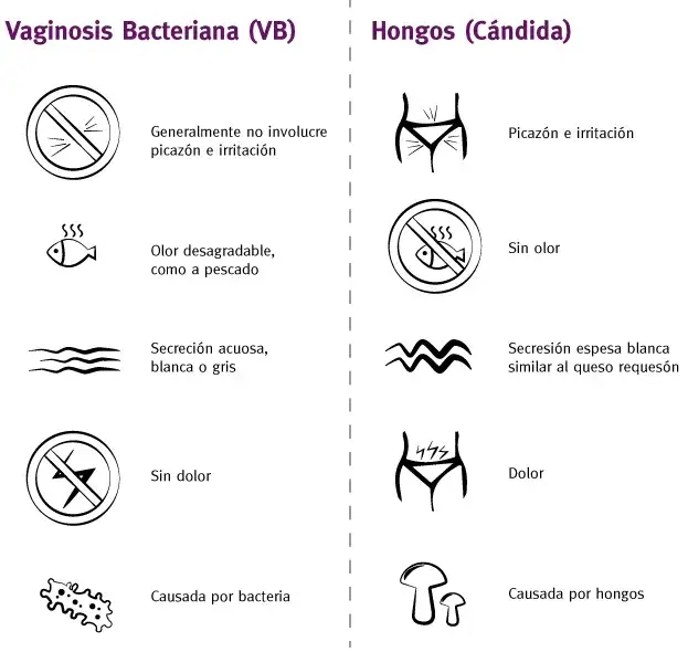 ¿Tienes vaginosis bacteriana? Identifica síntomas y soluciones