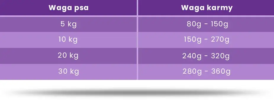 Ile razy karmić szczeniaka? Harmonogram i porady eksperta