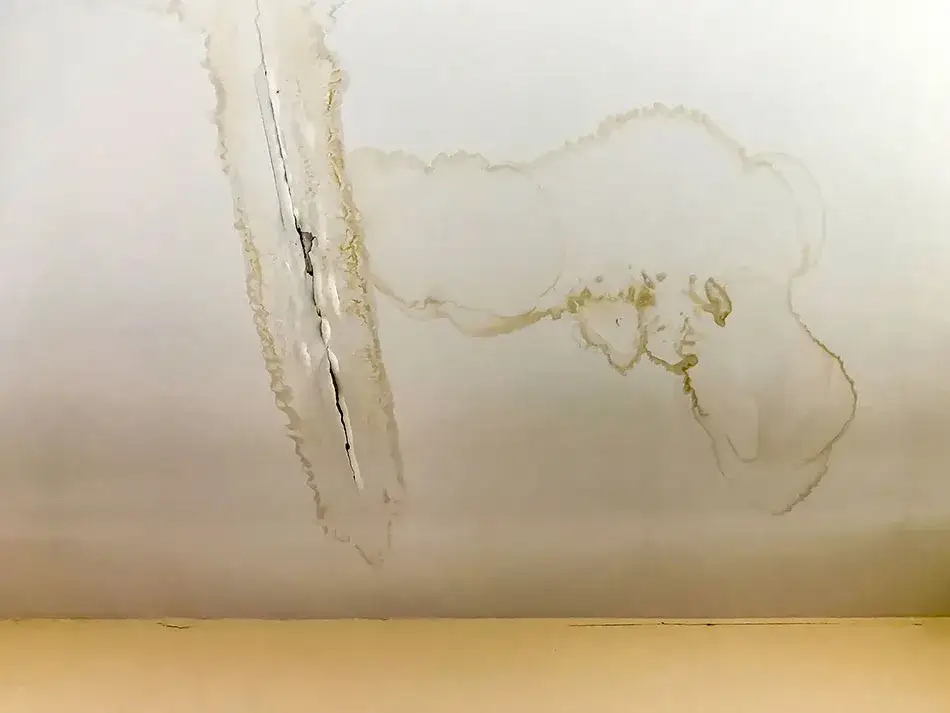 Ile kosztuje naprawa sufitu po zalaniu? Poznaj pełny cennik!