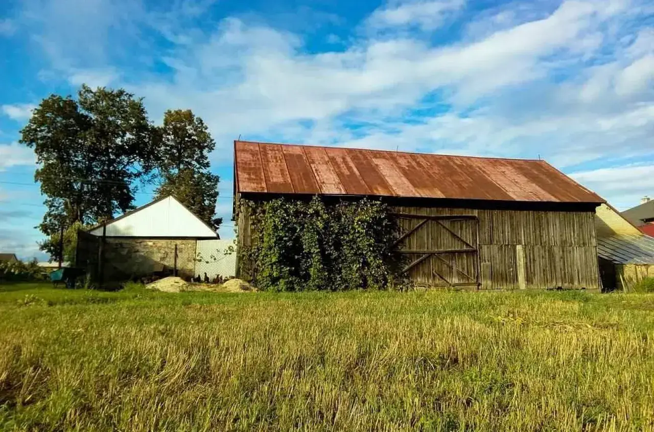 Drewniana stodoła z rudym dachem i zielonym bluszczem, obok mniejszy budynek i pole.