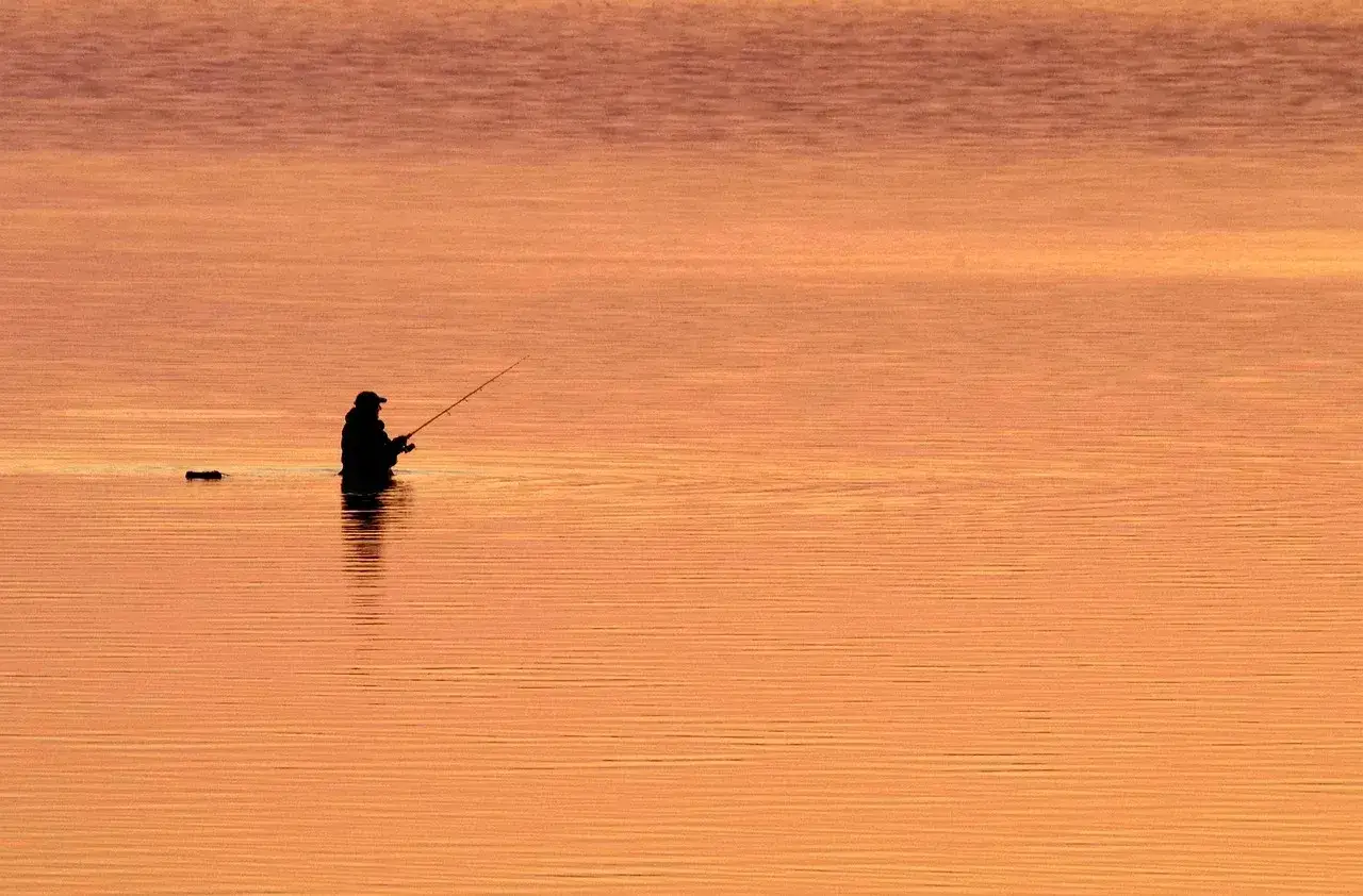 Wędkarz w wodzie o zachodzie słońca, licząc na domową zanętę na leszcza.
