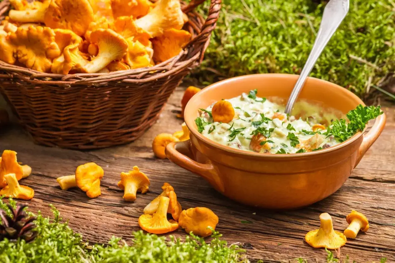 Idealny sos z grzybów leśnych: przepis, który zawsze się uda!