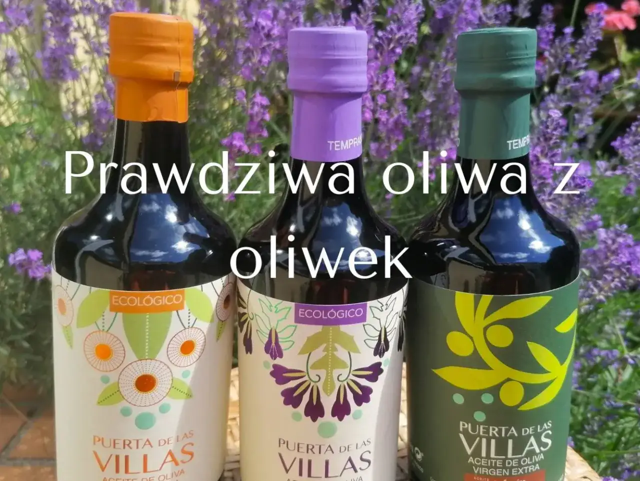 Gdzie kupić dobrą oliwę z oliwek - unikaj najgorszych wyborów