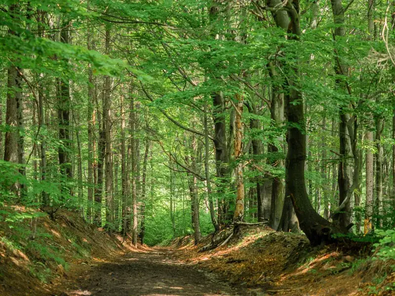 Który szlak na rzeczkę Małą Sowę w Górach Sowich jest ciekawy?