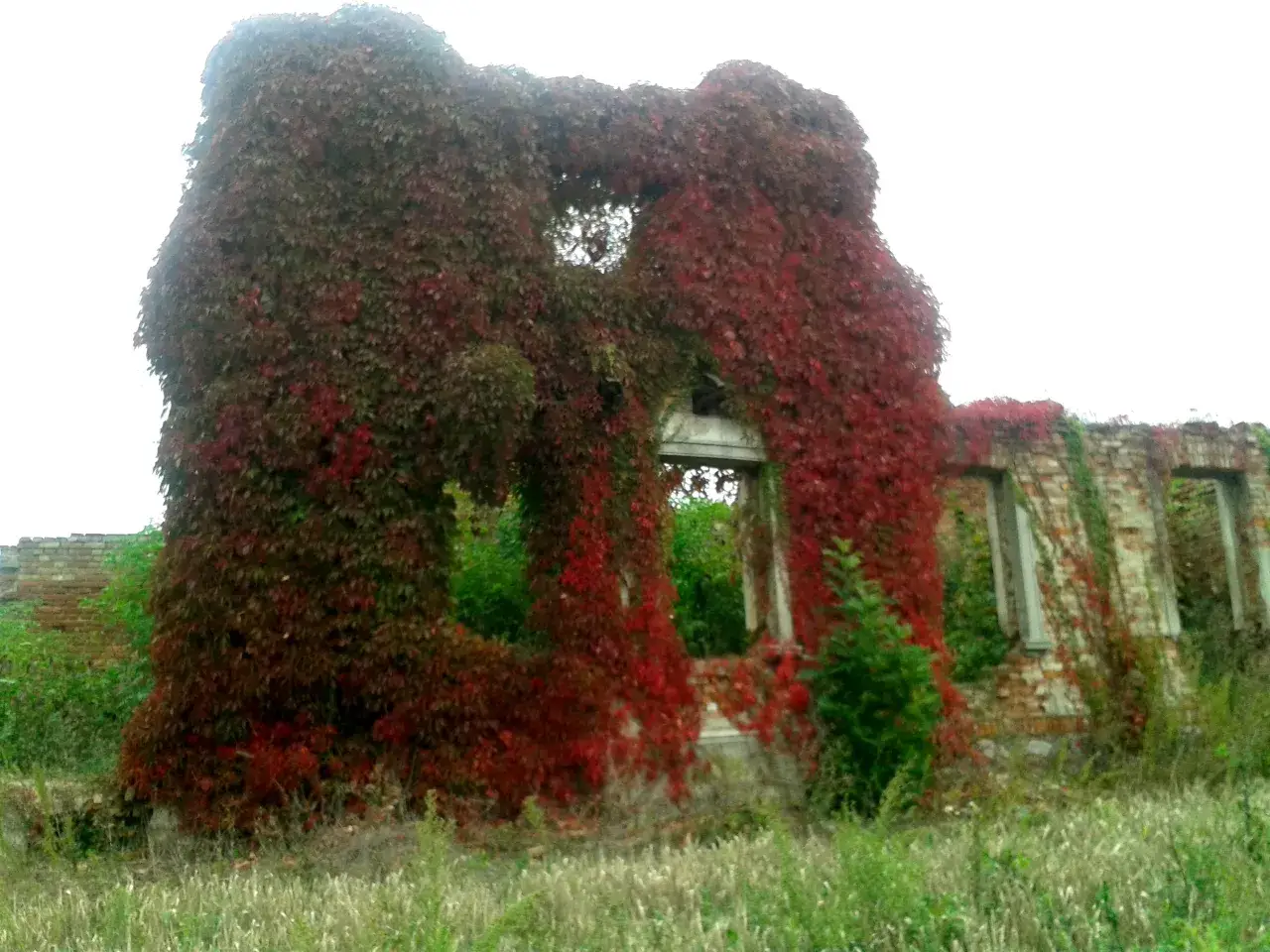 Dworek w Klukowie: Czy ruiny pod Pułtuskiem naprawdę straszą?