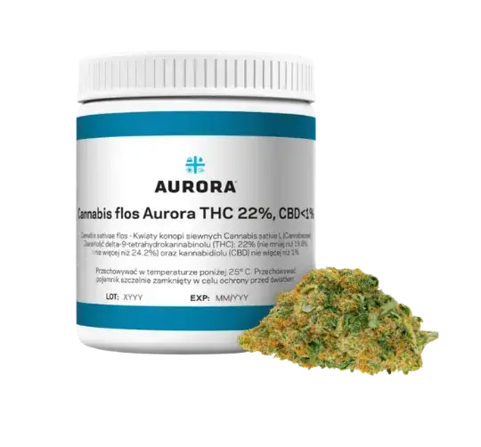 Medyczna marihuana w Polsce dla kogo? Poznaj warunki i proces uzyskania recepty