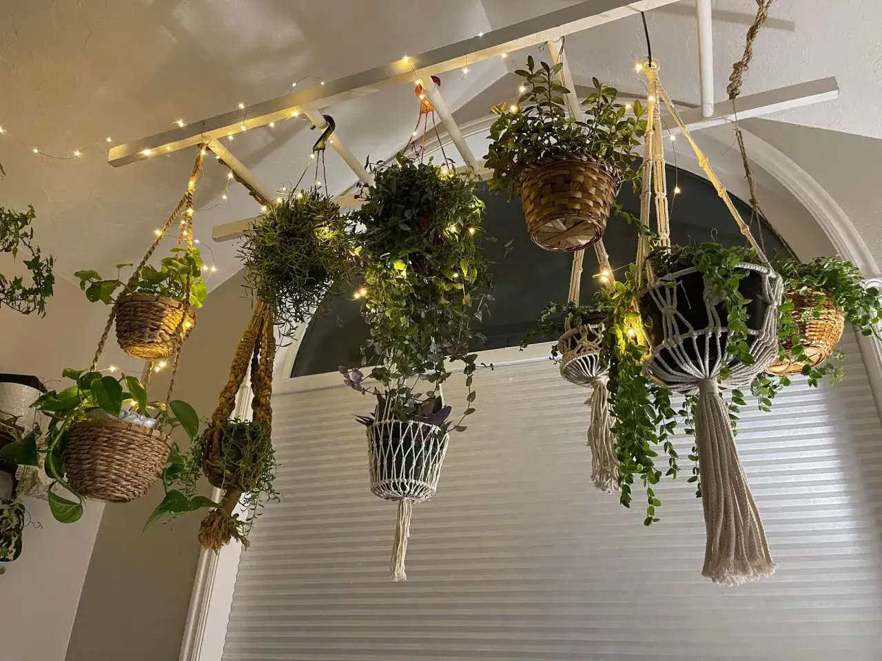 Wiszące **kwiaty na suficie** tworzą zielony ogród podwieszony pod białym stelażem, ozdobionym migoczącymi lampkami.
