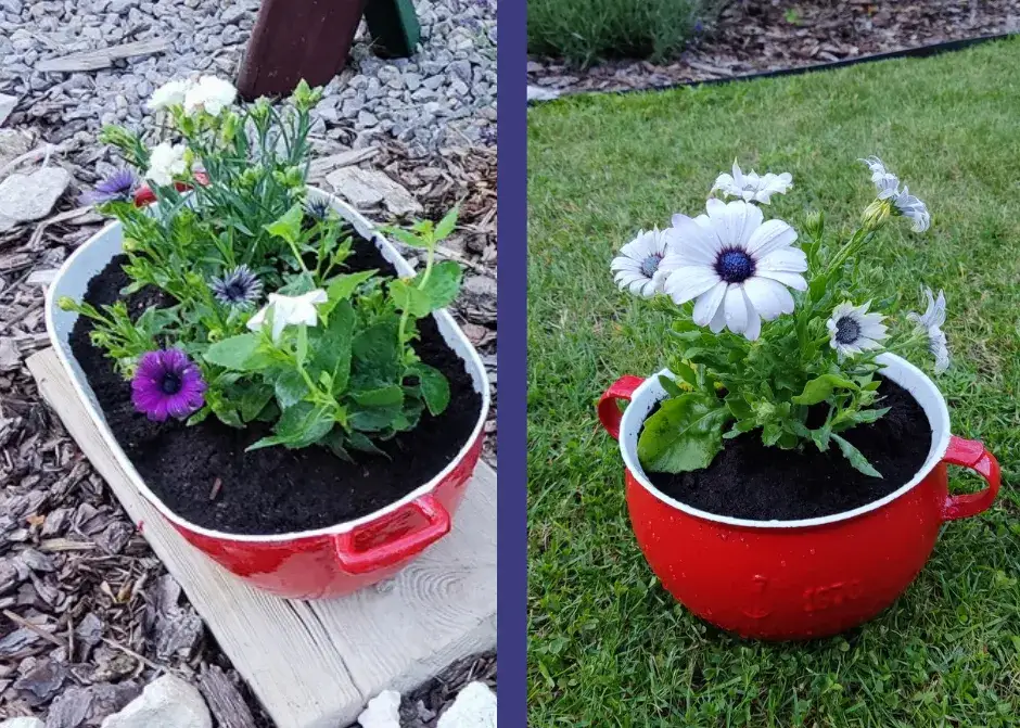 Jak wykorzystać stare garnki w ogrodzie: 10 kreatywnych pomysłów na DIY