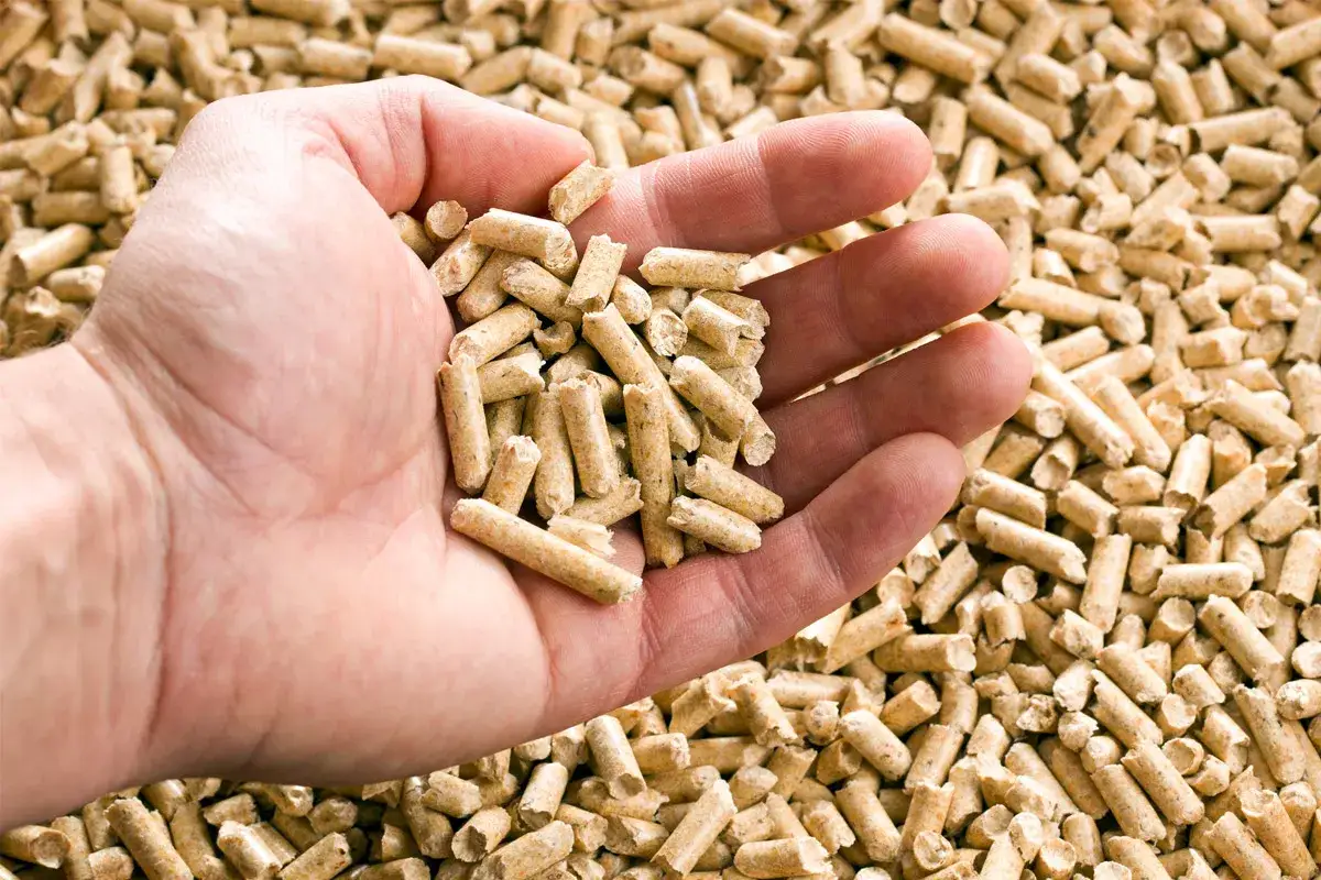 Jaki pellet polecacie? Najlepsze marki, które zapewnią ciepło i oszczędności