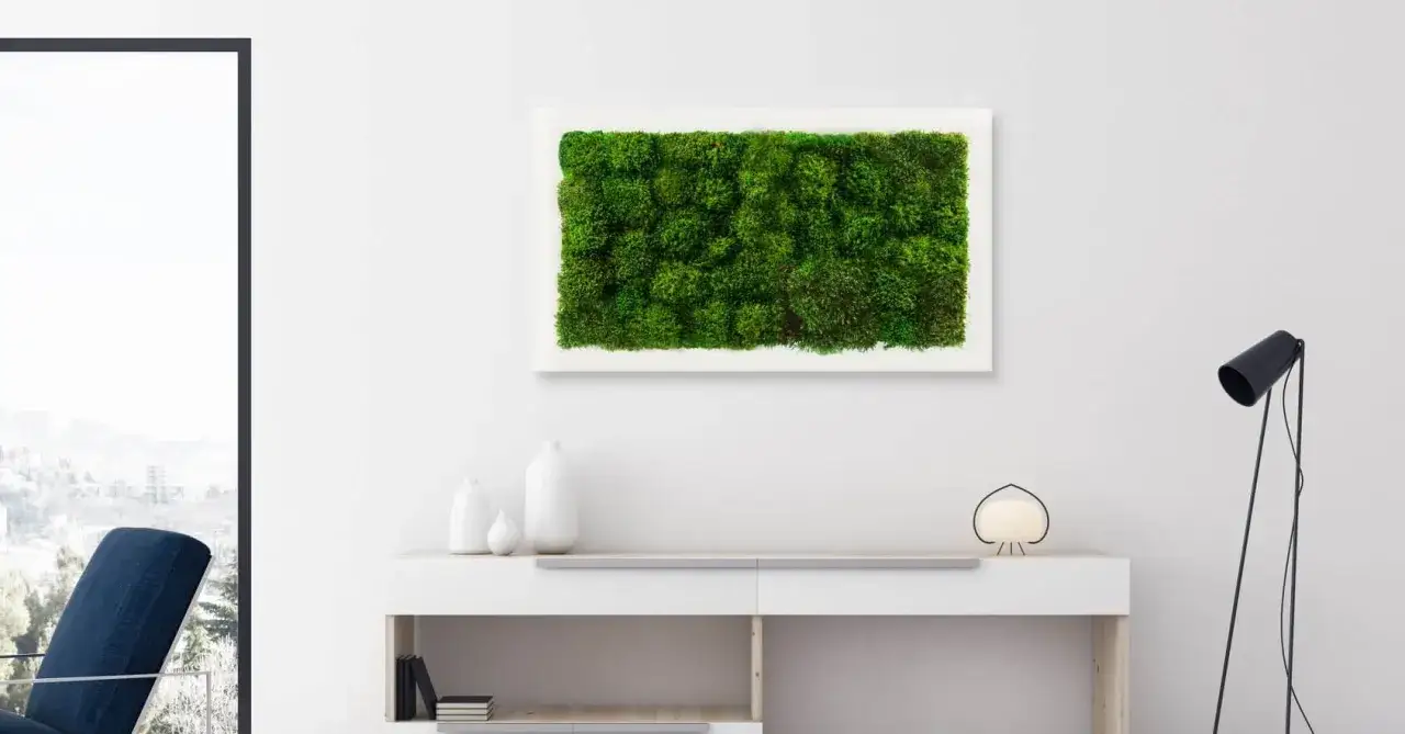 Jak dbać o mech dekoracyjny, aby zachował świeżość i urok?