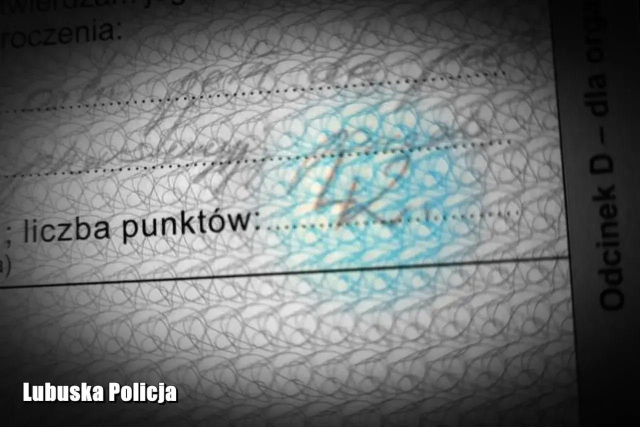 Fragment dokumentu z napisem "liczba punktów" i widoczną liczbą 14.