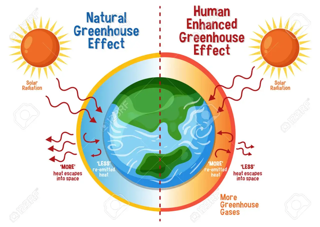 Efekt cieplarniany: Jak działa? Skutki dla Polski i Twoja rola (z grafikami)