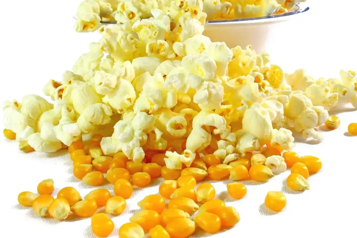 Kukurydza i gotowy popcorn, który pokazuje, czy da się zrobić popcorn w piekarniku.