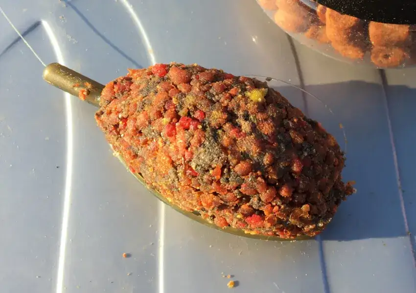 Jaką wędkę na feeder wybrać, aby uniknąć nieudanych połowów?