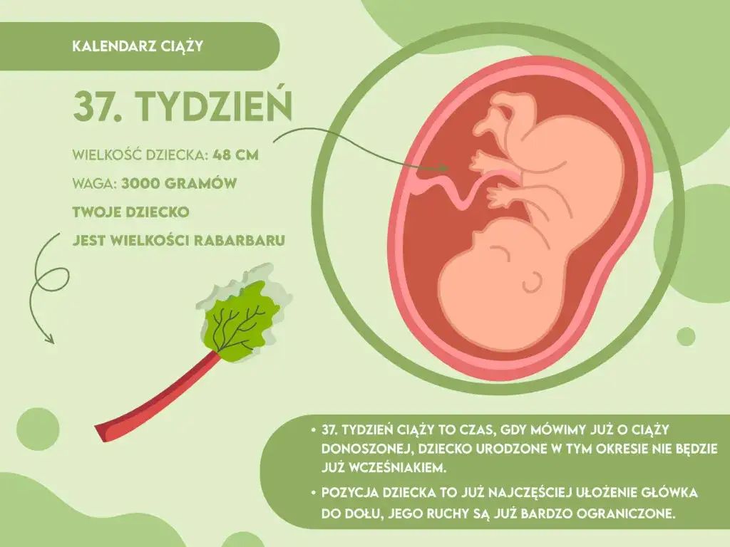 37 tydzień ciąży: Objawy porodu, kiedy jechać do szpitala?