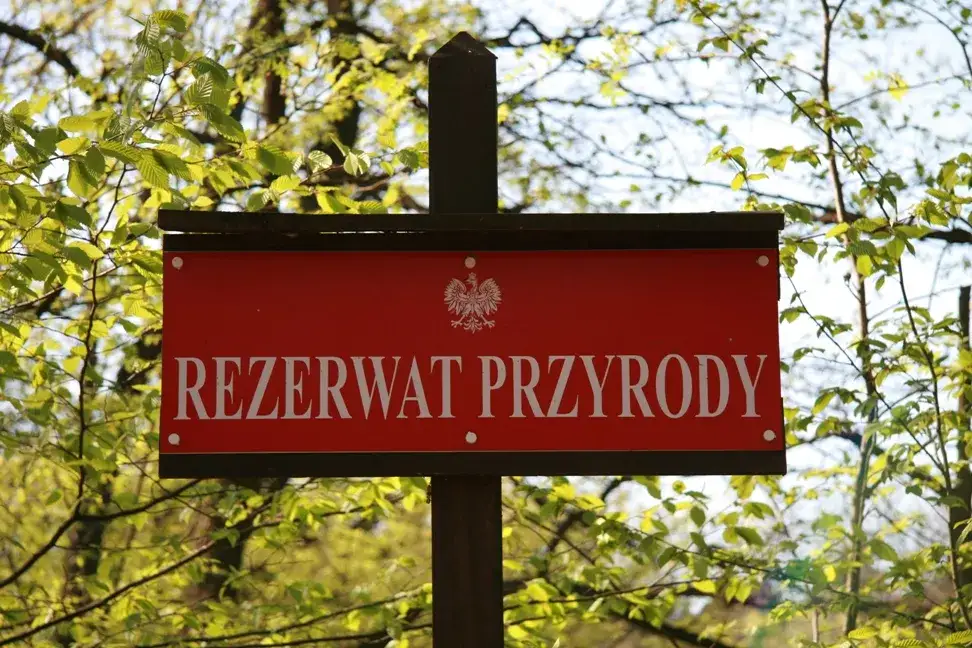 Rezerwaty przyrody Bór w Polsce - tajemnice, które musisz poznać
