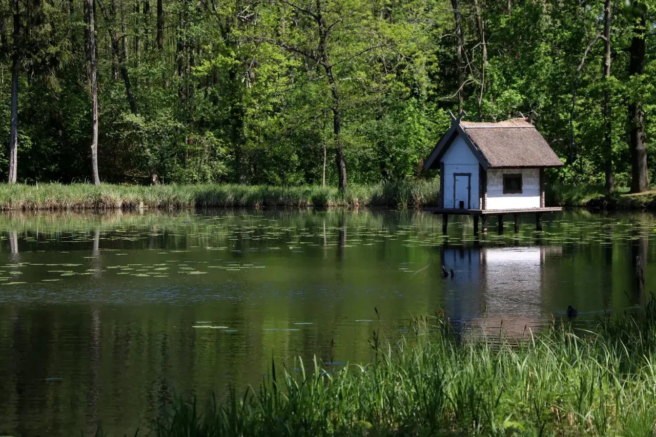 Najlepsze atrakcje w Spreewaldzie: co zobaczyć i jak zaplanować idealną wycieczkę