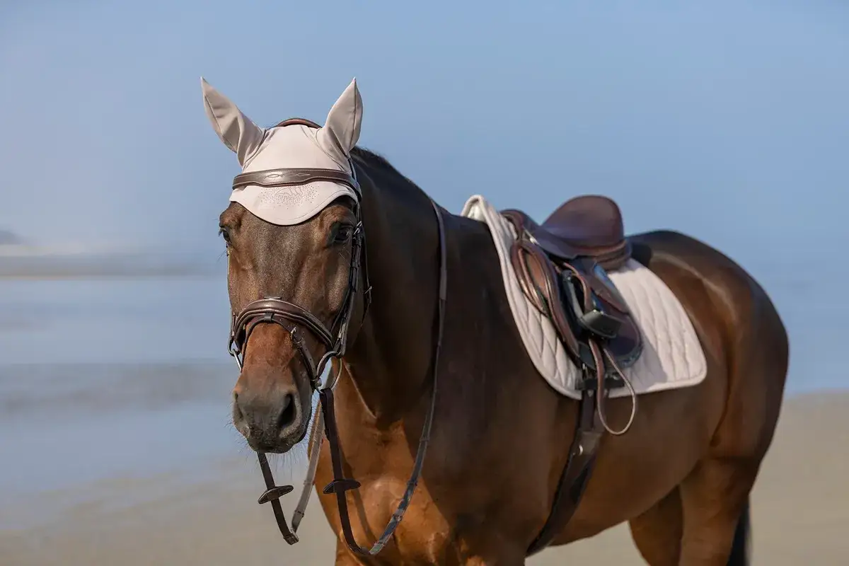 Siodło dla konia: Jak dobrać idealne? Uniknij błędów!