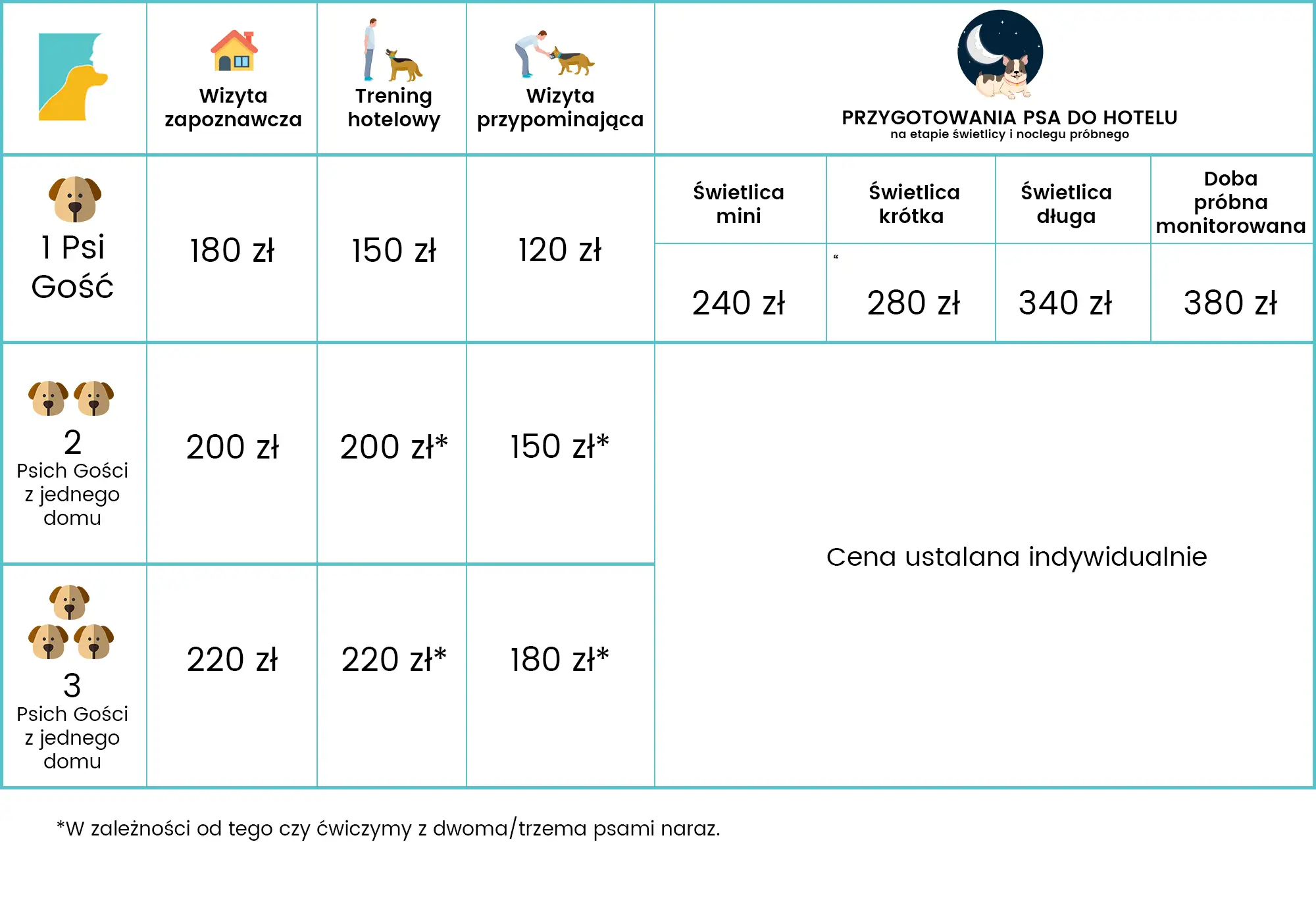 Ceny hoteli dla psów: Od 60 do 200 zł! Jak nie przepłacić?