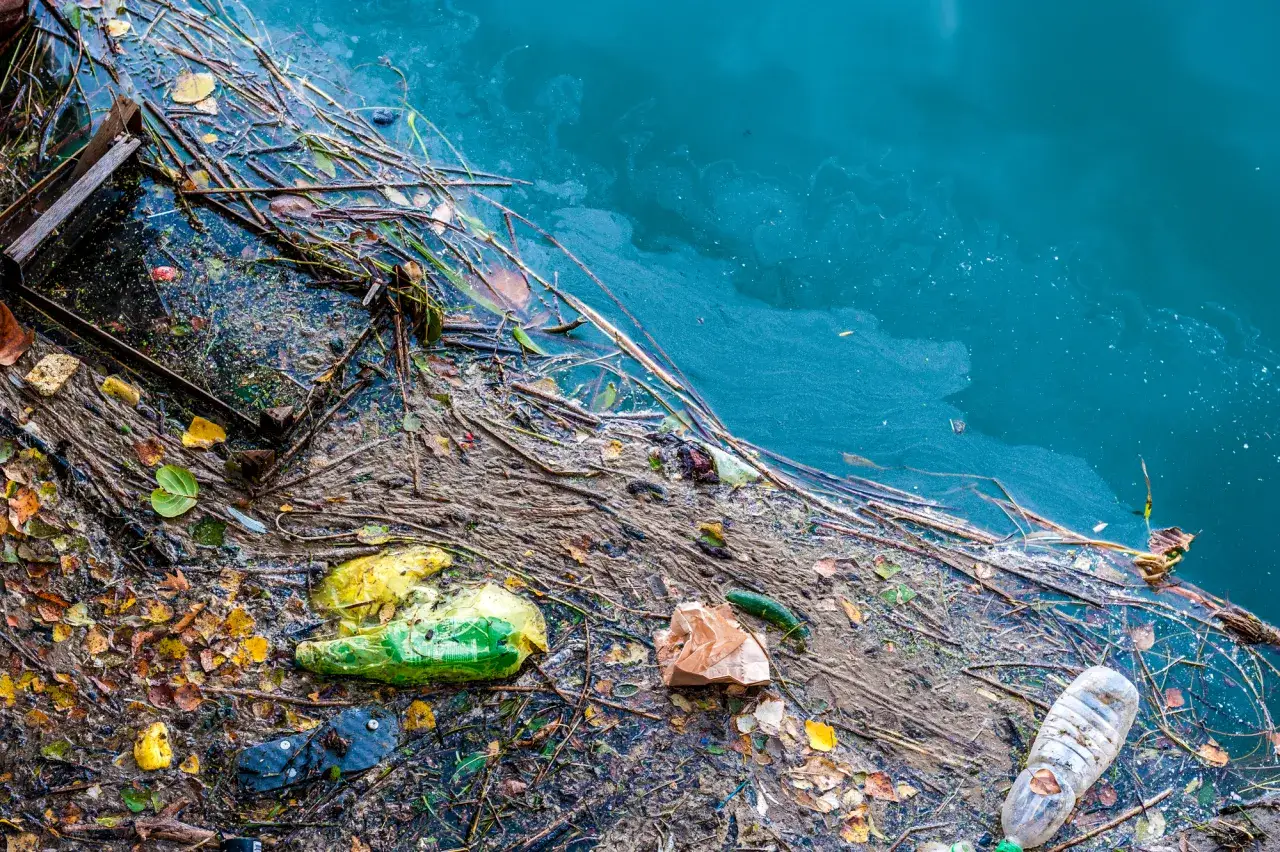 Plastikowe butelki, torby i śmieci unoszą się na wodzie, ilustrując przyczyny zanieczyszczenia Bałtyku.