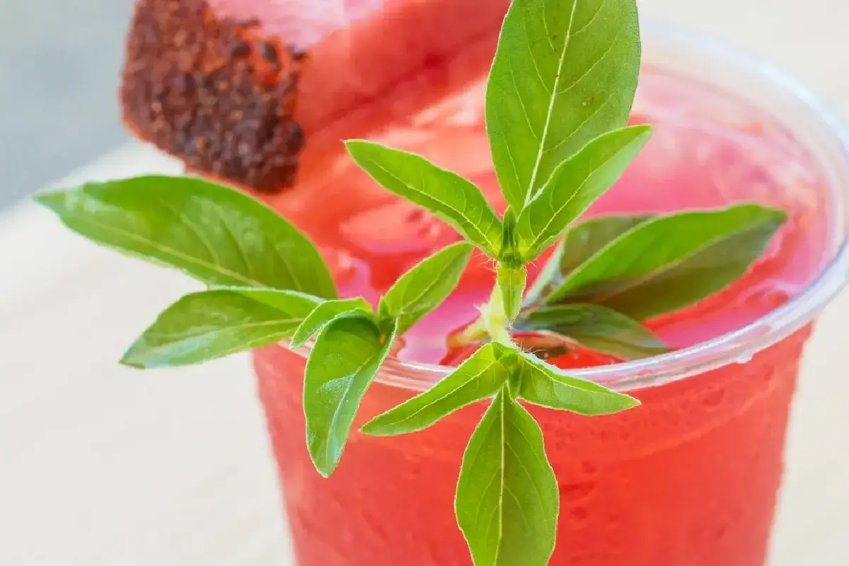 Orzeźwiający napój z bazylią, która świetnie pasuje do owocowych koktajli. Zastanawiasz się, bazylia do czego dodawać? Do tego!